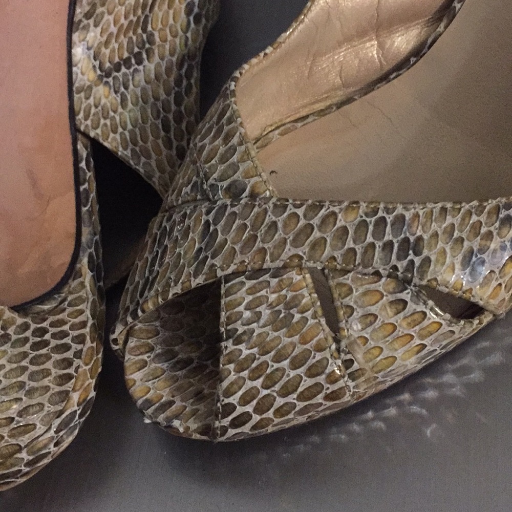 Beautiful Snake Shoes - Picture 5 of 5